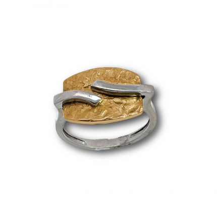 ANEL BICOLOR OURO 19K