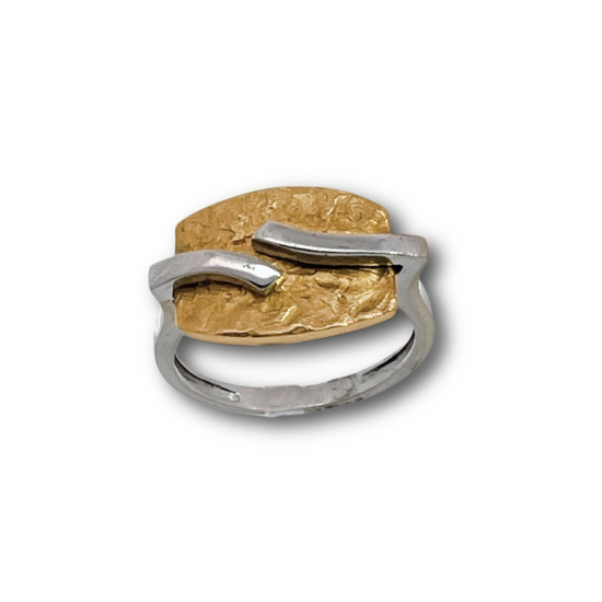 ANEL BICOLOR OURO 19K