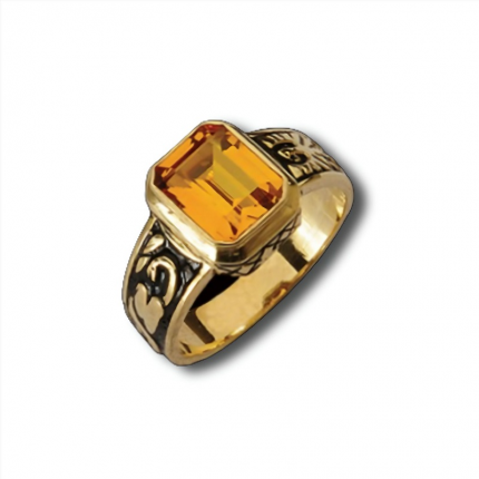 ANEL DE CURSO OURO 19K