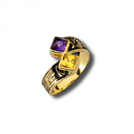 ANEL DE CURSO OURO 19K
