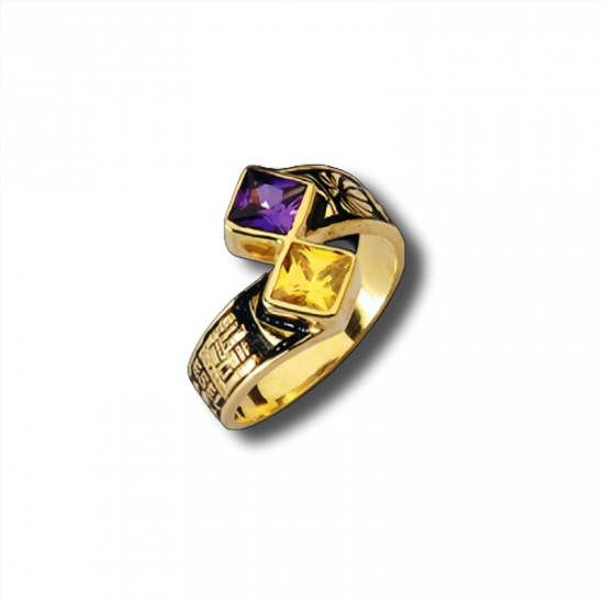 ANEL DE CURSO OURO 19K