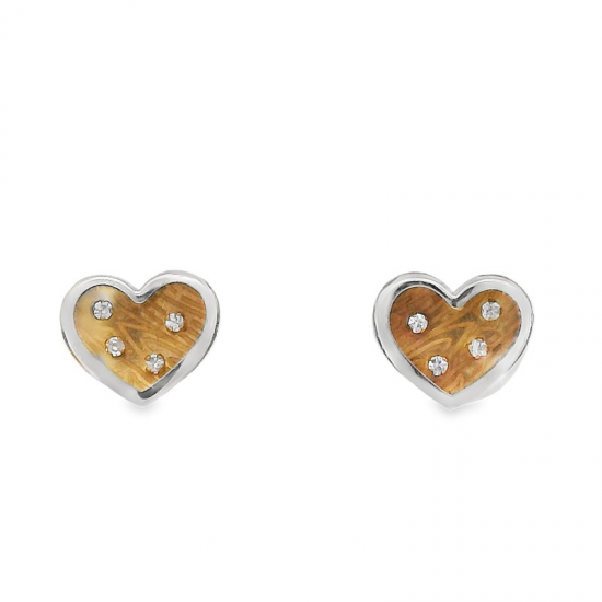 BRINCOS OURO BICOLOR 9K