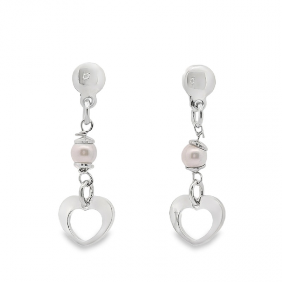 BRINCOS PRATA RODEADA