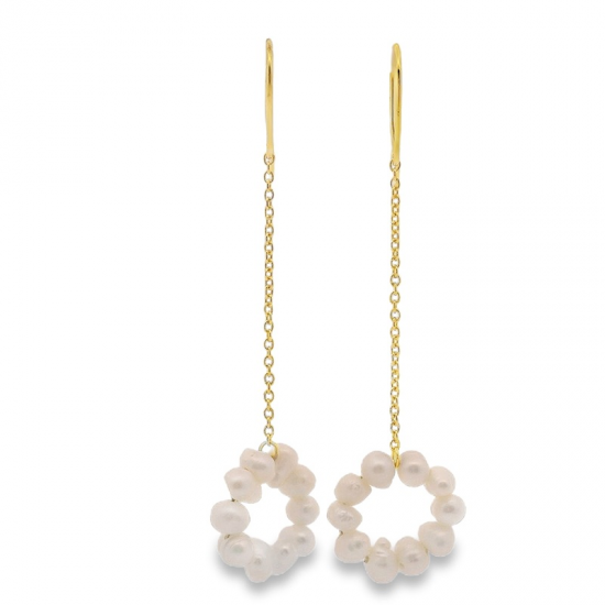 BRINCOS PRATA RODEADA OU DOURADA