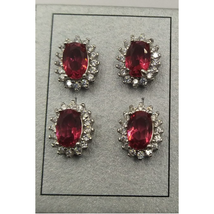 BRINCOS PRATA RODEADA 