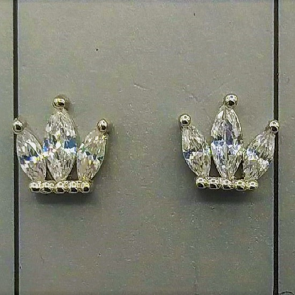 Brincos Prata Rodeada