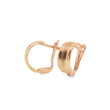 BRINCOS OURO BICOLOR 19K