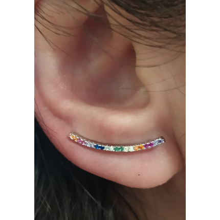 BRINCOS PRATA RODEADA