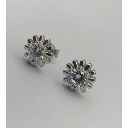 BRINCOS PRATA RODEADA