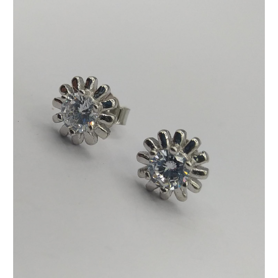 BRINCOS PRATA RODEADA