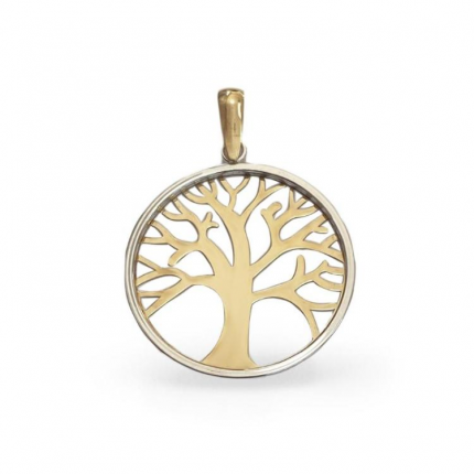 MEDALHA BICOLOR OURO 9K