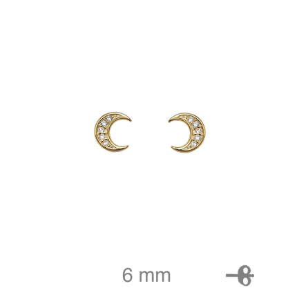 BRINCOS PRATA DOURADA