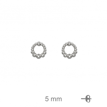 BRINCOS PRATA RODEADA