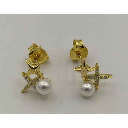 Brincos Prata Dourada