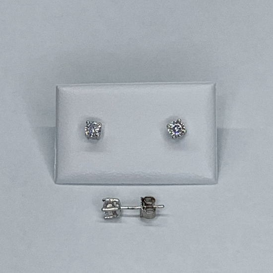 BRINCOS PRATA RODEADA