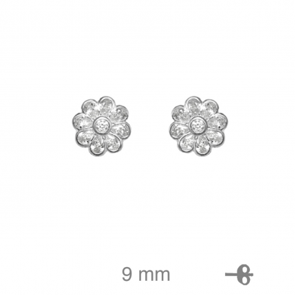 BRINCOS PRATA RODEADA