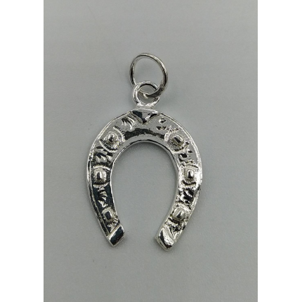 MEDALHA PRATA RODEADA