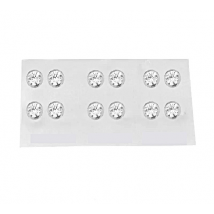 BRINCOS PRATA RODEADA