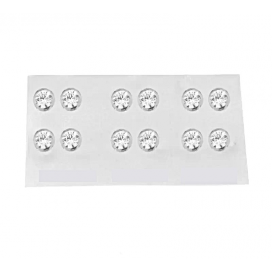 BRINCOS PRATA RODEADA