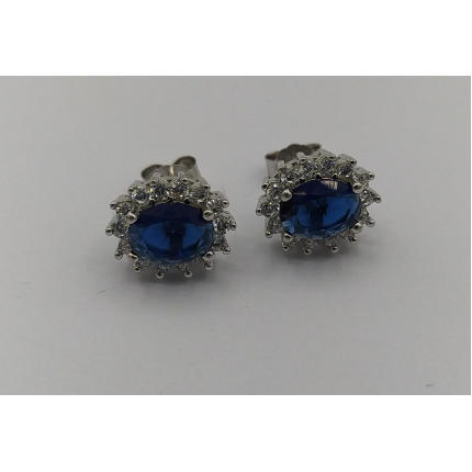 BRINCOS PRATA RODEADA