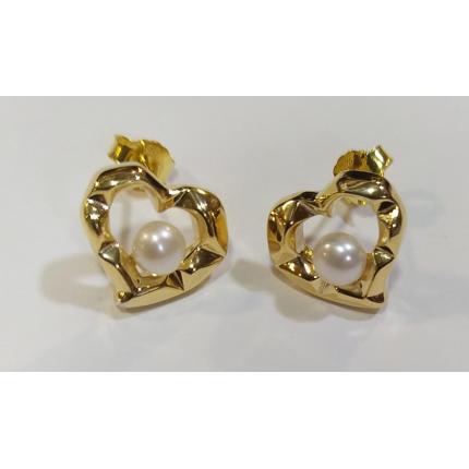 Brincos Prata Dourada