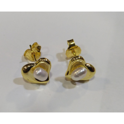 Brincos Prata Dourada