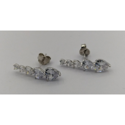 Brincos Prata Rodeada