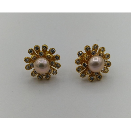 BRINCOS PRATA DOURADA