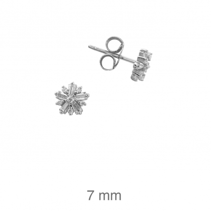 Brincos Prata Rodeada Brincos Prata Rodeada