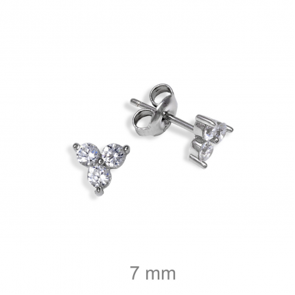 BRINCOS PRATA RODEADA