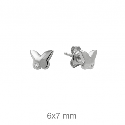 BRINCOS PRATA RODEADA