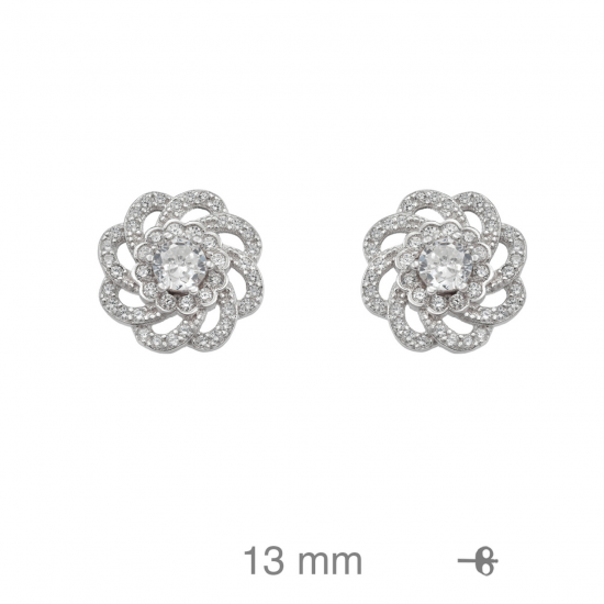 BRINCOS PRATA RODEADA