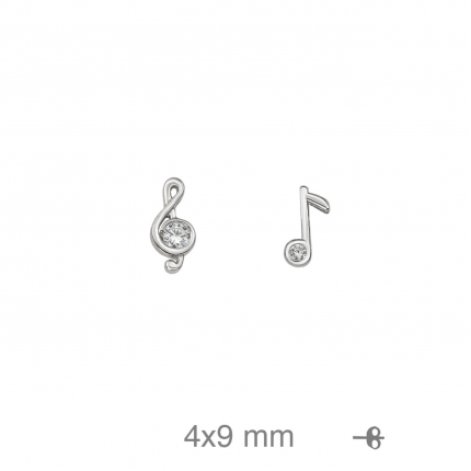 BRINCOS PRATA RODEADA