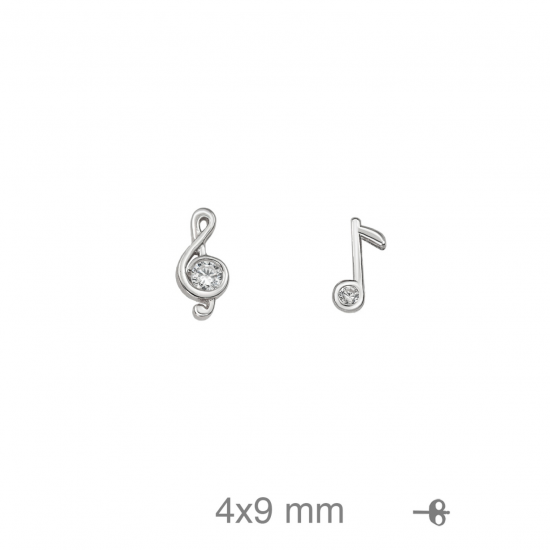 BRINCOS PRATA RODEADA