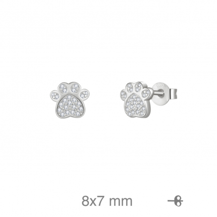 Brincos Prata Rodeada Brincos Prata Rodeada