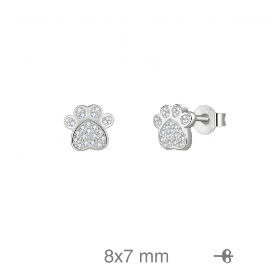 BRINCOS PRATA RODEADA