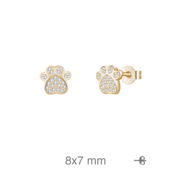 BRINCOS PRATA DOURADA