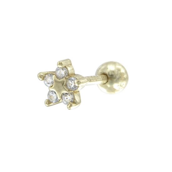 BRINCO PRATA DOURADA PIERCING