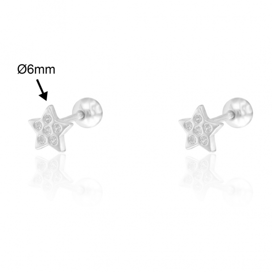 BRINCOS PRATA RODEADA BRINCOS PRATA RODEADA