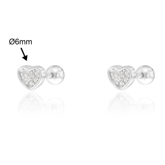 BRINCOS PRATA RODEADA