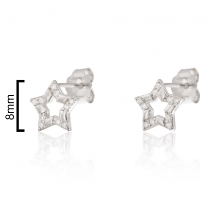 BRINCOS PRATA RODEADA