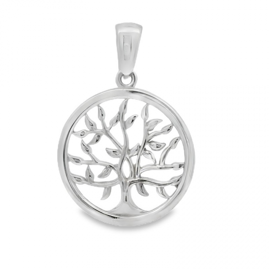 MEDALHA PRATA RODEADA