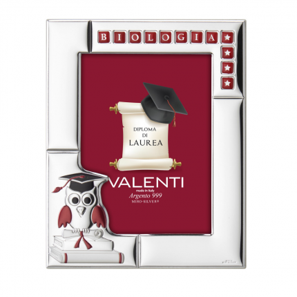 Moldura Prata Bilaminada Moldura Prata Bilaminada