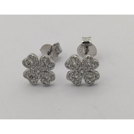 BRINCOS PRATA RODEADA