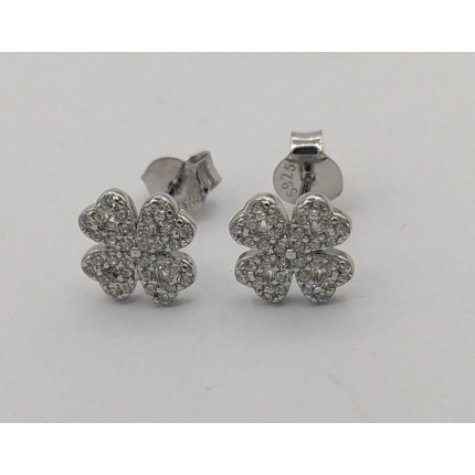 BRINCOS PRATA RODEADA