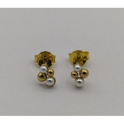 Brincos Prata Dourada