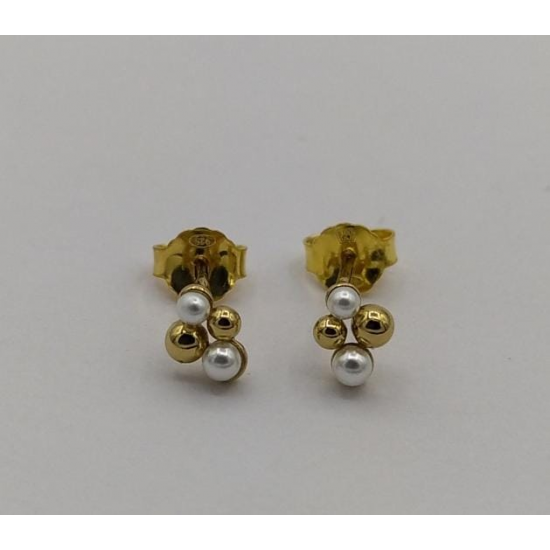 BRINCOS PRATA DOURADA