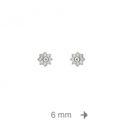 BRINCOS PRATA RODEADA BRINCOS PRATA RODEADA