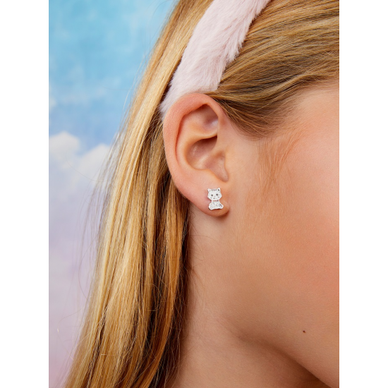 BRINCOS PRATA RODEADA MAREA 