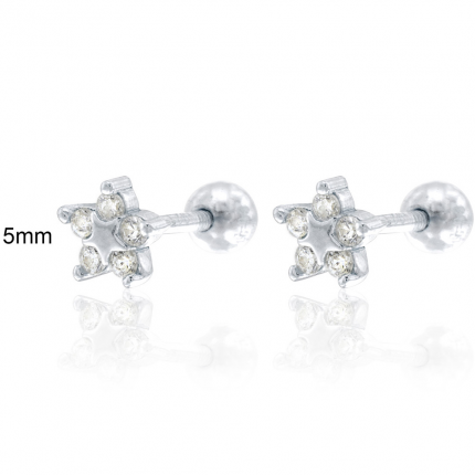 BRINCOS PRATA RODEADA BRINCOS PRATA RODEADA